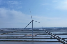 自主研制!全球最大26兆瓦级海上风电机组并网发电