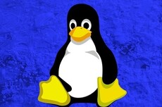 Linux游戏领域新里程碑！Steam玩家占比已超3%