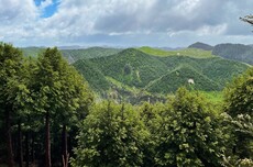 苹果扩展环保版图,在新西兰和澳大利亚启动新项目