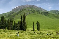 脱离“正轨”的旅居人，在逃避什么？