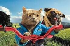 人人都在炫AI频道月入十万,但没人告诉你他们怎么死的