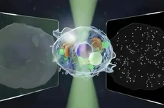 日本研究人员研发出新型显微镜，可同时观测微米和纳米级结构