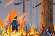 AI面临的不是泡沫，而是野火