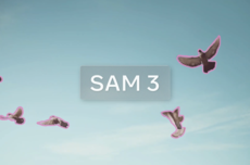 Meta“分割一切”模型强势升级!“听懂人话”,处理含上百物体一张图仅需30毫秒