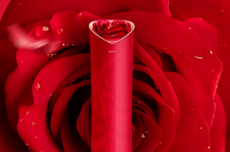 董明珠称玫瑰空调创历史记录 有酒店生意变巨好