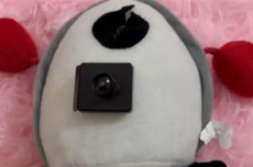 女子网购布娃娃发现眼睛内疑有摄像头 平台已下架 律师解读是否侵权