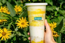 Blueglass“降价60%”！高端酸奶卖不动了？