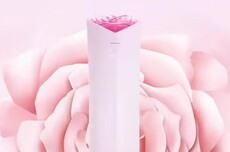 董明珠再回应3.2万元玫瑰空调:在格力之前没有人将空调打造成艺术品,企业应带动上下游共同发展