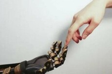 “长”出皮肤:人形机器人量产前夜的“触觉战争”