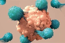 体内CAR-T MNC选定的“进化之路”