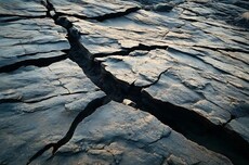 中国互联网“反内卷”需要动真格的了