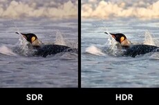 有多少人半夜玩手机 结果被HDR照片闪瞎了