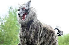 眼睛閃著紅光、90分貝噪音 日本多地用‘機器狼’驅(qū)趕熊