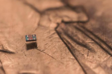 全球最小全自主可编程机器人诞生：接近细菌尺度 成本仅1美分