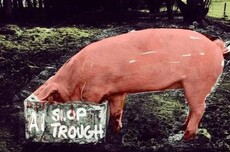 这个年度词汇让我生理性厌恶，连迪士尼都要用AI给你喂“泔水”了