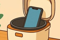 手机放电饭锅里 抢票成功率就会变高？