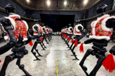 年末部分機器人日租價腰斬 最低降至一天200多元