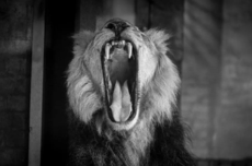 今天的中国,正在复刻美国“咆哮20年代”