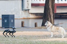 售价9988元，第一台家用机器人来了