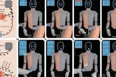 机器人也怕疼！港城突破性电子皮肤：主动痛觉+损伤自检buff拉满