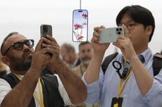 苹果低下了高傲的头颅