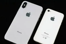 苹果iPhone在印度市场逆势增长，2025年出货量达1400万部刷新纪录