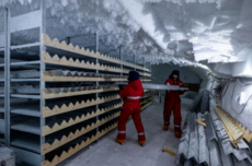 特朗普“盯上”格陵兰岛，美国科学界公开反对