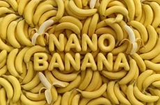 谷歌揭秘“Nano Banana”AI生图模型命名内幕