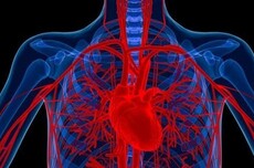 中国科学家研发出依靠心脏跳动自发电的起搏器，胶囊尺寸微创植入