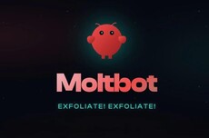 Clawdbot风波的隐喻：“云安全”正成为AI智能体时代最大风口