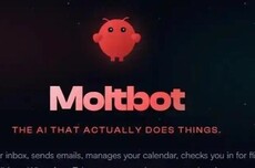 AI幽灵席卷全球的6天5夜