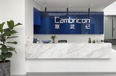 寒武纪半日蒸发700亿,发生了什么?