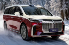 曝岚图梦想家车主家庭年均收入超50万 超六成是高管