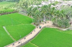 海南今年将新建250个和美乡村