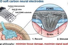 国际首次太空在轨验证，西工大团队在植入式脑机接口领域取得突破