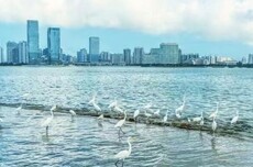 守护蔚蓝海岸 海口出台制度专门针对美丽海湾建设