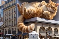 实测Seedance 2.0：红包满天飞，字节悄悄进化