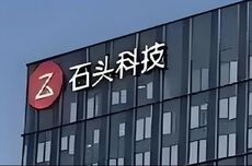 “扫地茅”石头科技去哪儿了