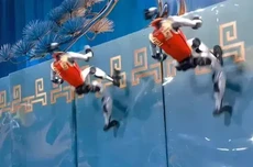 外网爆火、国人刷屏:今年春晚的机器人顶流,为什么还是宇树?