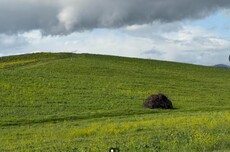 神似原版:微软WinXP壁纸Bliss拍摄地30年后实拍