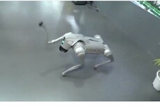 称中国产品为自研成果,印度一所大学遭AI影响力峰会“驱逐”