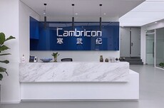 寒武纪2025年营收大涨453%，净赚超20亿实现扭亏