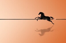 OPPO系新机发布顺序预测：Find N6之后是一加15T