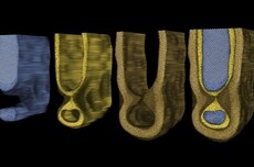 半导体重大突破！人类首次观察到芯片内部“鼠咬”缺陷