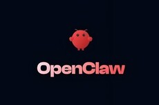 请把这篇文章，转给你那个想装OpenClaw的领导