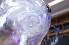 全球首款侵入式脑机接口医疗器械获批上市 使用者需满足五个条件