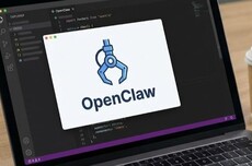龙虾最佳适配模型，OpenClaw之父给出了推荐