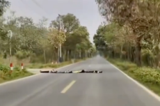 何小鹏回应4个小孩横躺马路:第二代VLA识别后减速 否则不堪设想