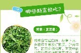 山东春季“第一鲜”野菜登场 这份“打野须知”请收下