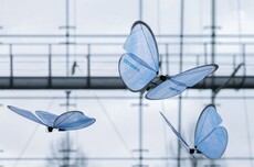 感受下！中国无人机已进化到这种程度了：仿鹰、仿鸽、仿蝴蝶、仿甲虫…